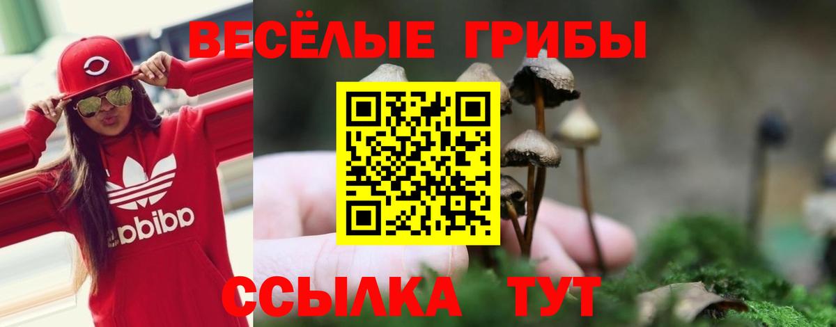 Тельмана  Псилоцибиновые грибы MAGIC MUSHROOMS  Псилоцибиновые грибы мицелий  Вход с VPN 