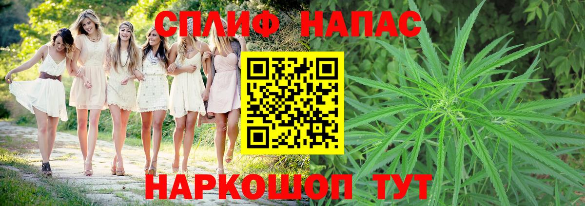 Шишки марихуана гибрид  Бошки марихуана SATIVA & INDICA  Бошки Шишки LSD WEED  Вход с VPN  Тельмана 